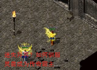 ��ʧ��磿���ѱ�����޳�Ϊ�������