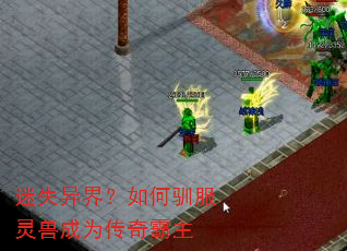 ��ʧ��磿���ѱ�����޳�Ϊ�������