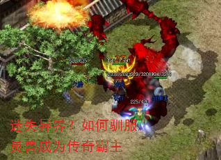 ��ʧ��磿���ѱ�����޳�Ϊ�������