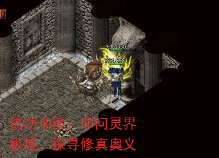 ������;��ߵ����缫����̽Ѱ�������