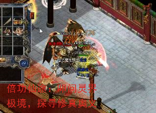 ������;��ߵ����缫����̽Ѱ�������