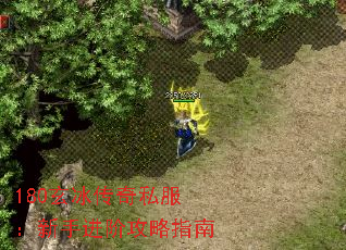 180玄冰传奇私服:新手进阶攻略指南 180玄冰传奇私服:新手进阶攻略指南