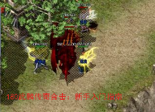 180武麟传奇合击:新手入门指南 180武麟传奇合击:新手入门指南