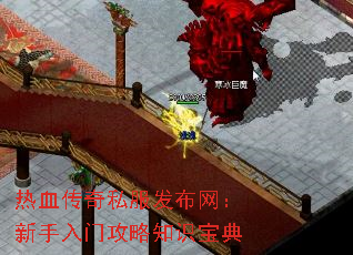 ��Ѫ����˽�����������������Ź���֪ʶ����