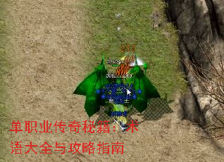 单职业传奇秘籍:术语大全与攻略指南 单职业传奇秘籍:术语大全与攻略指南