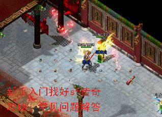 新手入门找好sf传奇攻略:常见问题解答 新手入门找好sf传奇攻略:常见问题解答