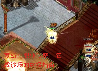 �λõ�ְҵ���棺��սɳ�����ռ�ָ��