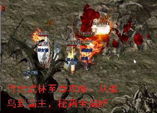传奇武林至尊攻略:从菜鸟到霸主,秘籍全揭晓 传奇武林至尊攻略:从菜鸟到霸主,秘籍全揭晓