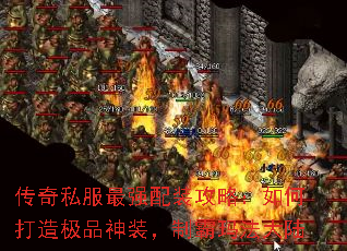 ����˽����ǿ��װ���ԣ���δ��켫Ʒ��װ���ư��귨��½