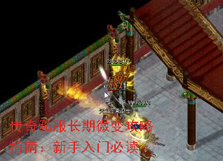����˽������΢�乥��ָ�ϣ��������űض�