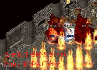 ����˽������΢�乥��ָ�ϣ��������űض�