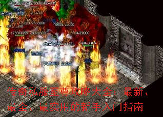 传奇私服至尊攻略大全:最新、最全、最实用的新手入门指南 传奇私服至尊攻略大全:最新、最全、最实用的新手入门指南