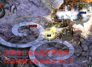 单职业打金私服寻宝奇遇:探索隐藏宝藏的秘诀大公开 单职业打金私服寻宝奇遇:探索隐藏宝藏的秘诀大公开