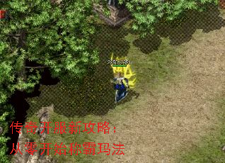 传奇开服新攻略:从零开始称霸玛法 传奇开服新攻略:从零开始称霸玛法