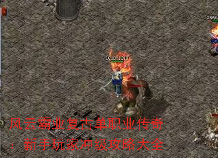 ���ư�ҵ���ŵ�ְҵ���棺������ҳ弶���Դ�ȫ