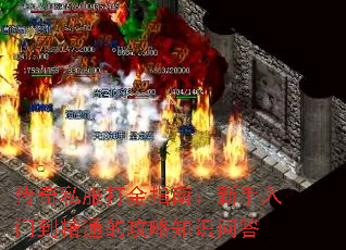 ����˽�����ָ�ϣ��������ŵ���ͨ�Ĺ���֪ʶ�ʴ�