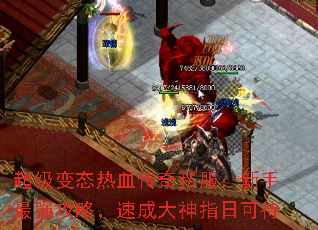������̬��Ѫ����˽����������ǿ���ԣ��ٳɴ���ָ�տɴ�