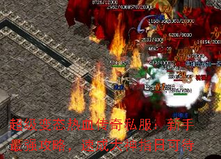 ������̬��Ѫ����˽����������ǿ���ԣ��ٳɴ���ָ�տɴ�