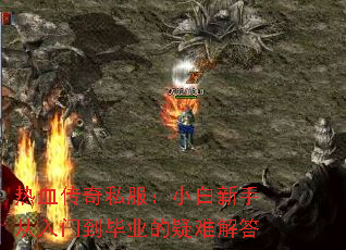 热血传奇私服:小白新手从入门到毕业的疑难解答 热血传奇私服:小白新手从入门到毕业的疑难解答