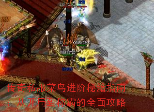 ����˽����������ؼ�ָ�ϣ��ӿ��ֵ��ưԵ�ȫ�湥��