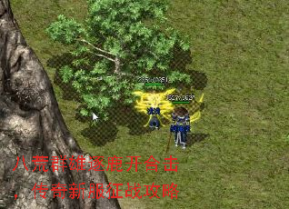 八荒群雄逐鹿开合击,传奇新服征战攻略 八荒群雄逐鹿开合击,传奇新服征战攻略