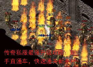 传奇私服最强升级攻略:新手直通车,快速通关新手村 传奇私服最强升级攻略:新手直通车,快速通关新手村