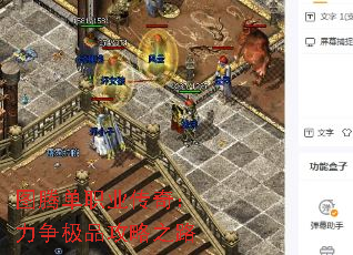 图腾单职业传奇:力争极品攻略之路 图腾单职业传奇:力争极品攻略之路