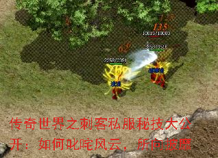 传奇世界之刺客私服秘技大公开:如何叱咤风云,所向披靡 传奇世界之刺客私服秘技大公开:如何叱咤风云,所向披靡