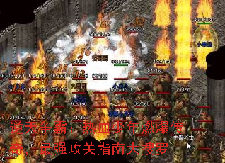 �������ԣ���Ѫ����ȼ�����棬��ǿ����ָ�ϴ�����