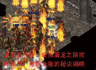 ��ְҵ���棺��ǿ����֮·����ָ�ϣ�����ȫ�����ؾ�����