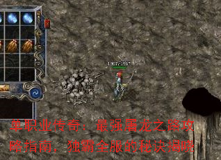 ��ְҵ���棺��ǿ����֮·����ָ�ϣ�����ȫ�����ؾ�����