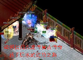 ��κ�ɨ���������Ŵ��棺������ҵĽ���֮·