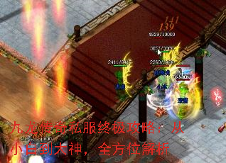 九龙传奇私服终极攻略:从小白到大神,全方位解析 九龙传奇私服终极攻略:从小白到大神,全方位解析