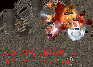九龙传奇私服终极攻略:从小白到大神,全方位解析 九龙传奇私服终极攻略:从小白到大神,全方位解析