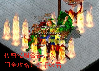 ����˽���ϻ�sf����ȫ���ԣ����ֱؿ�
