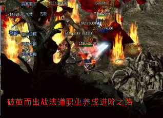 破茧而出战法道职业养成进阶之路 破茧而出战法道职业养成进阶之路