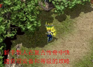 新手散人在复古传奇中快速获取装备和等级的攻略 新手散人在复古传奇中快速获取装备和等级的攻略