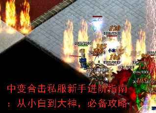 中变合击私服新手进阶指南:从小白到大神,必备攻略 中变合击私服新手进阶指南:从小白到大神,必备攻略