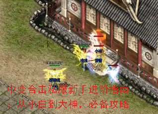 中变合击私服新手进阶指南:从小白到大神,必备攻略 中变合击私服新手进阶指南:从小白到大神,必备攻略