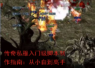 传奇私服入门级脚本制作指南:从小白到高手 传奇私服入门级脚本制作指南:从小白到高手