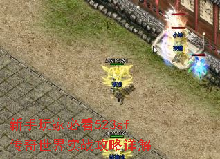 新手玩家必看523sf传奇世界实战攻略详解 新手玩家必看523sf传奇世界实战攻略详解