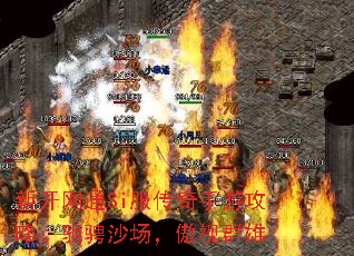 �¿���ͨSi���������ι��ԣ��۳�ɳ��������Ⱥ��