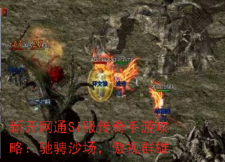 �¿���ͨSi���������ι��ԣ��۳�ɳ��������Ⱥ��