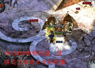 命运WYD传奇私服:纵横玛法攻略大全问答集 命运WYD传奇私服:纵横玛法攻略大全问答集