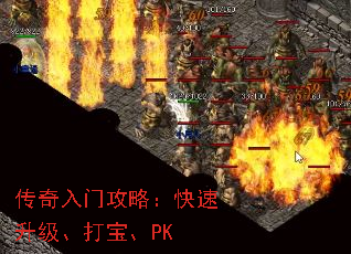 �������Ź��ԣ������������򱦡�PK
