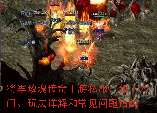 将军玫瑰传奇手游私服:新手入门、玩法详解和常见问题指南 将军玫瑰传奇手游私服:新手入门、玩法详解和常见问题指南