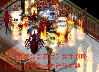 《风云传奇变态版》新手攻略:从小白到大佬的进阶之路 《风云传奇变态版》新手攻略:从小白到大佬的进阶之路