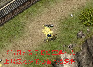 《传奇》新手修炼宝典:踏上玛法之路的必备问答集锦 《传奇》新手修炼宝典:踏上玛法之路的必备问答集锦
