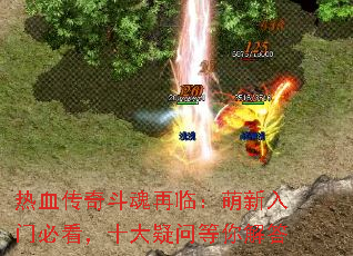 ��Ѫ���涷�����٣��������űؿ���ʮ�����ʵ�����