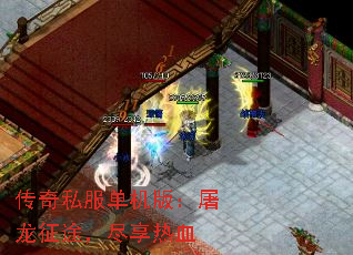 ����˽�������棺������;��������Ѫ